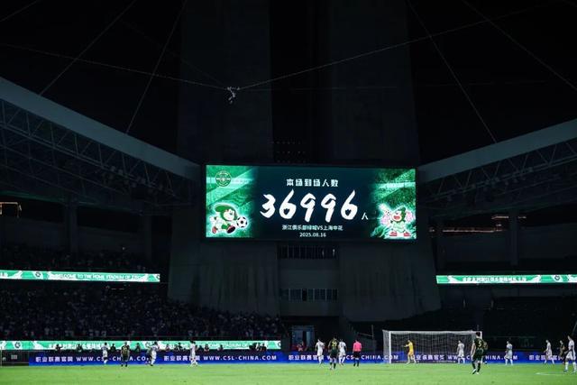 新葡萄8883登录-浙江队总经理焦凤波：提升造血功能，促进健康生态